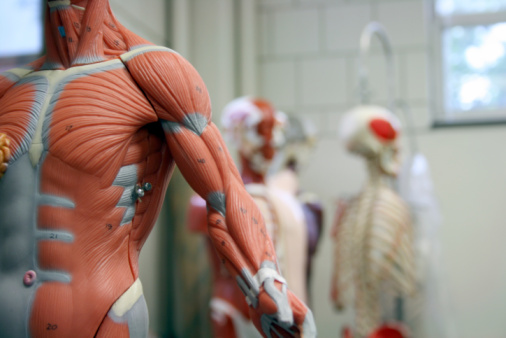 USMLE Prep Courses for Medical Students | American Medical Clinicals